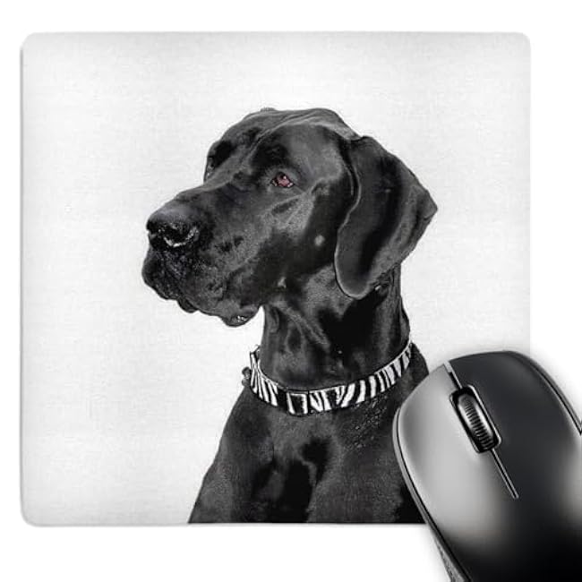 3dRose LLC 8 x 8 x 0.25 Inches Mouse Pad, Black Great Dane (mp_1054_1)