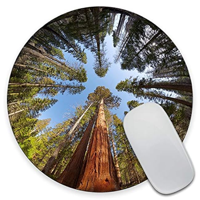 Gaming Round Mouse Pad Custom, Giant Sequoia Trees Mouse pad, Round Mousepad, Yosemite National park Mouse pad, Office Supplies, Present for Friend, Desk Accessories